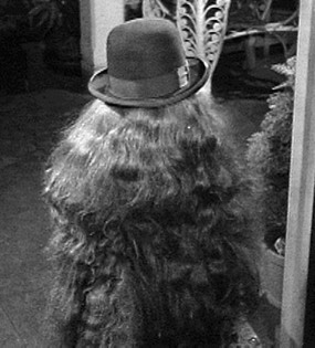 Cousin Itt, from the Addams Family